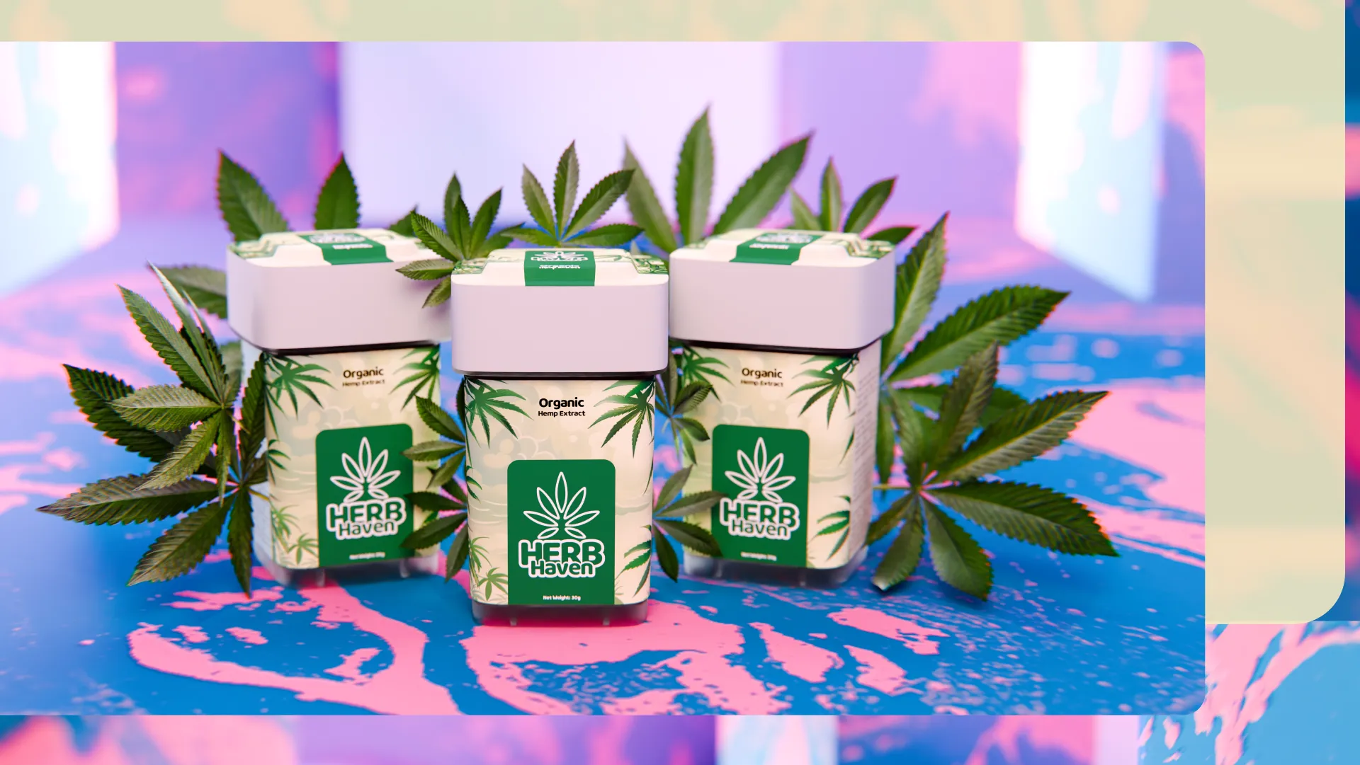 Three premium hemp extract canisters centered among lush green leaves.